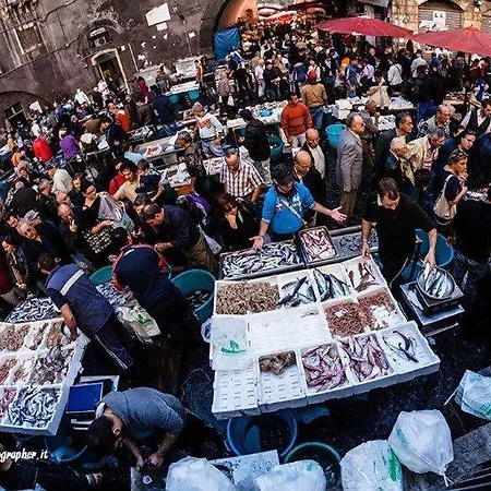 La Casa Del Centro Storico 公寓 卡塔尼亚